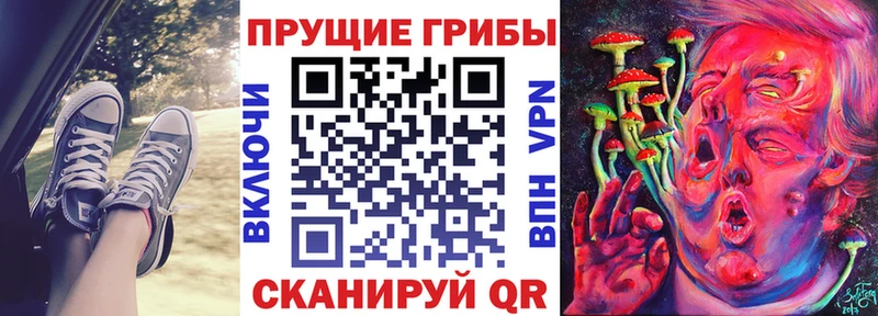 продажа наркотиков  Боровичи  Псилоцибиновые грибы Cubensis 